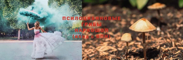 прущая мука Алзамай