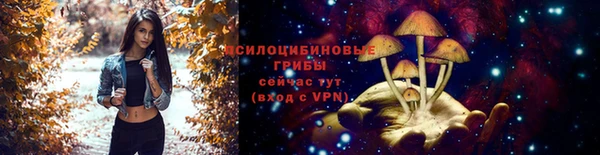 спайс Алексин