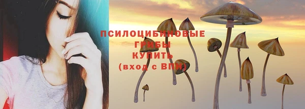 прущая мука Алзамай