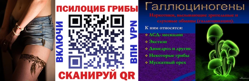 даркнет сайт  Пикалёво  Галлюциногенные грибы Psilocybe 