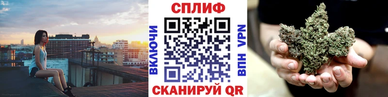 купить наркоту  Пикалёво  Конопля план 